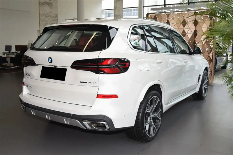 New BMWX5 48V MHEV Vehicle xDrive30Li xDrive40Li Sports Edition 3.0T 381hp L6 250km/h BMW X5 Mild Hybrid Electric Car